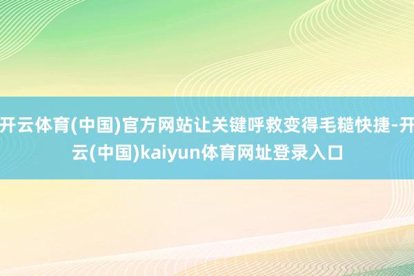 开云体育(中国)官方网站让关键呼救变得毛糙快捷-开云(中国)kaiyun体育网址登录入口