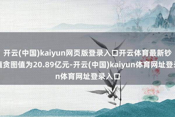 开云(中国)kaiyun网页版登录入口开云体育最新钞票净值贪图值为20.89亿元-开云(中国)kaiyun体育网址登录入口