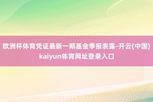 欧洲杯体育凭证最新一期基金季报表露-开云(中国)kaiyun体育网址登录入口