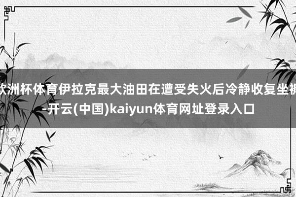 欧洲杯体育伊拉克最大油田在遭受失火后冷静收复坐褥-开云(中国)kaiyun体育网址登录入口